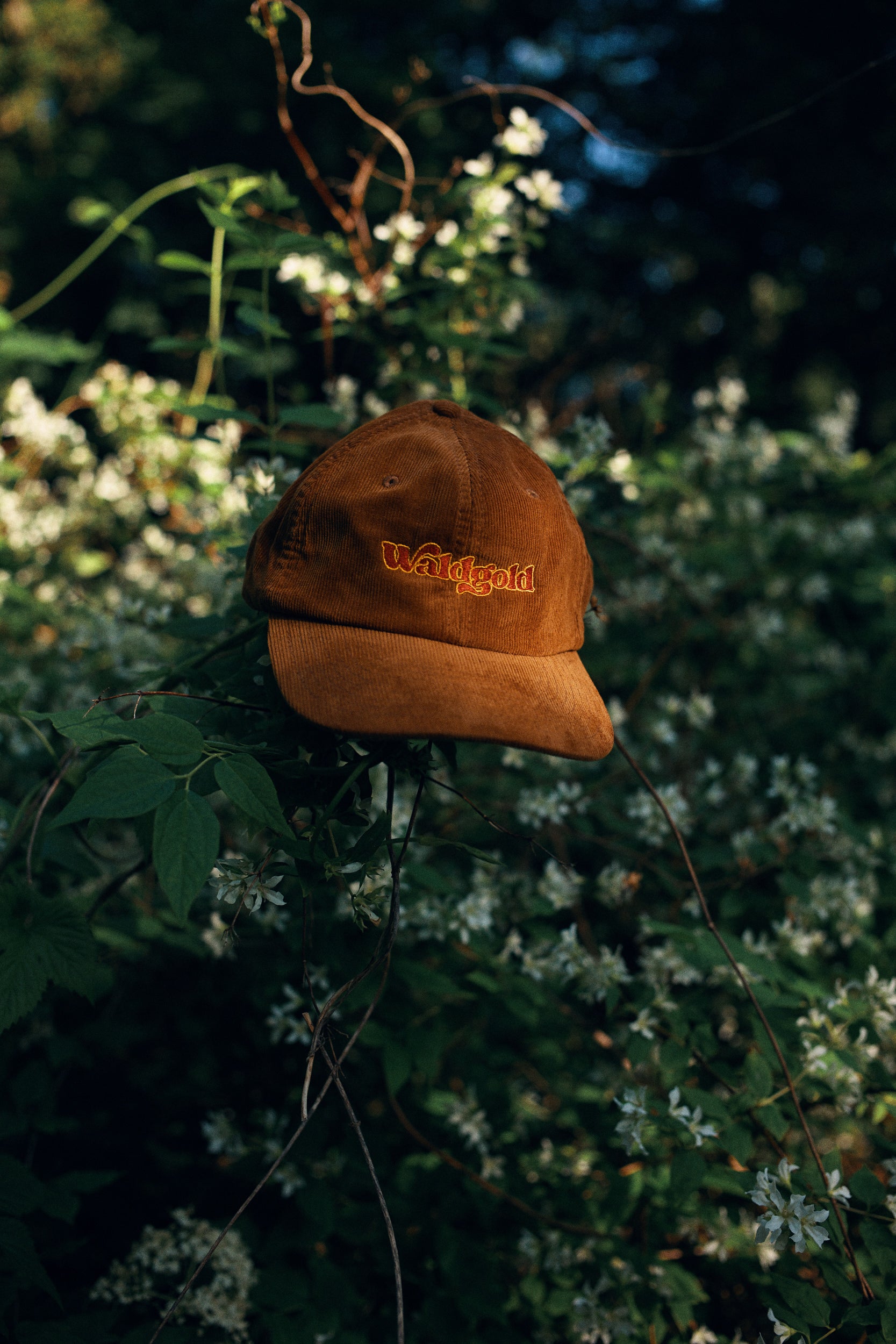 Waldgold Corduroy Cap Brown